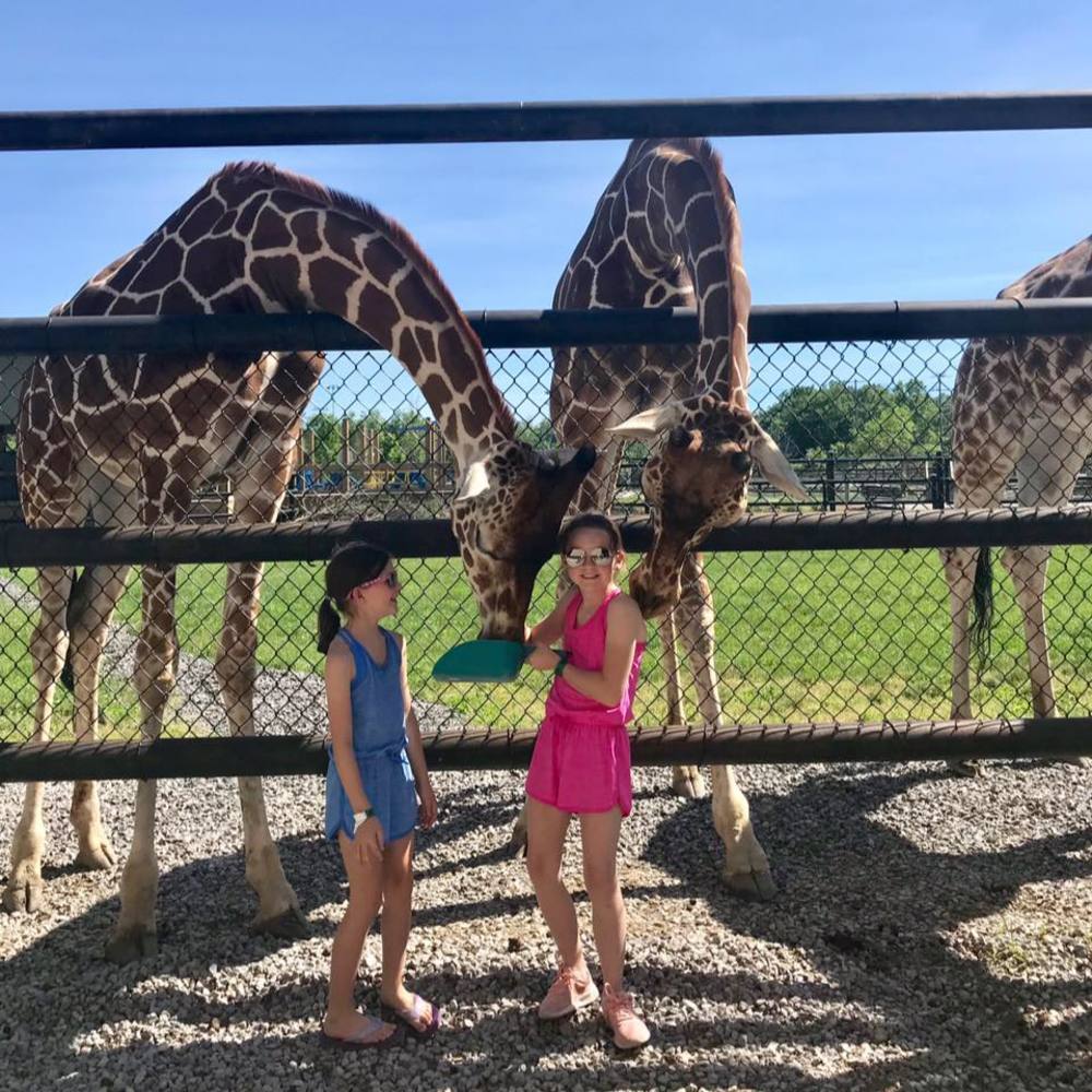 Meet your Posher, Mary